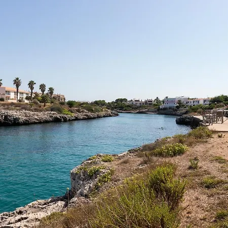 Mimosa Sa Caleta